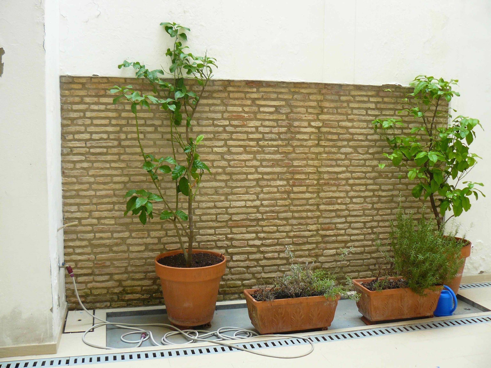 Alfaqueque Apartment Sevilla Exterior foto